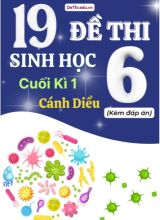 Tuyển tập 19 Đề thi cuối Kì 1 môn Sinh Học 6 sách Cánh Diều (Kèm đáp án)